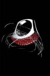 ������� ��������� Adler for Valentines&nbsp;day  �����-���� 2007/08