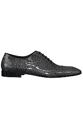 ������� ��������� Cesare Paciotti   �����-���� 2008