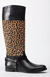 ������� ��������� Ralph Lauren  �����-���� 2008/09 