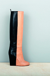 ������� � ������� ��������� Celine  �����-���� 2010/11