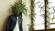����� � �������: ��� ����� ���-����? 