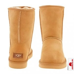 ��������� ���� (ugg)