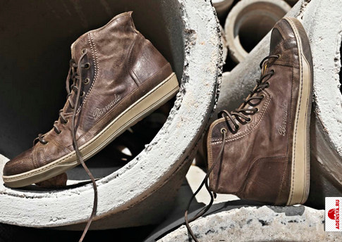 Фото №1: