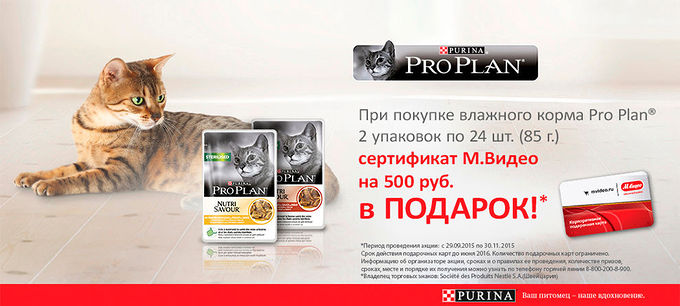 Том Кэт Зоомагазин Интернет Магазин
